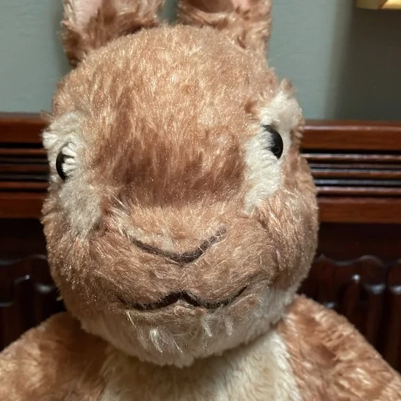 Peter Rabbit Build-A-Bear - Picture 3 of 11